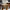 Walnut, variant on Mainstays Wood Rectangle Coffee Table, Black Finish