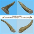 thumbnail image 4 of Deluxe Naturals 4-Pack Small Whole Elk Antler Dog Chews, Natural Long-Lasting Chew Treat for Small Dogs, 4 of 10