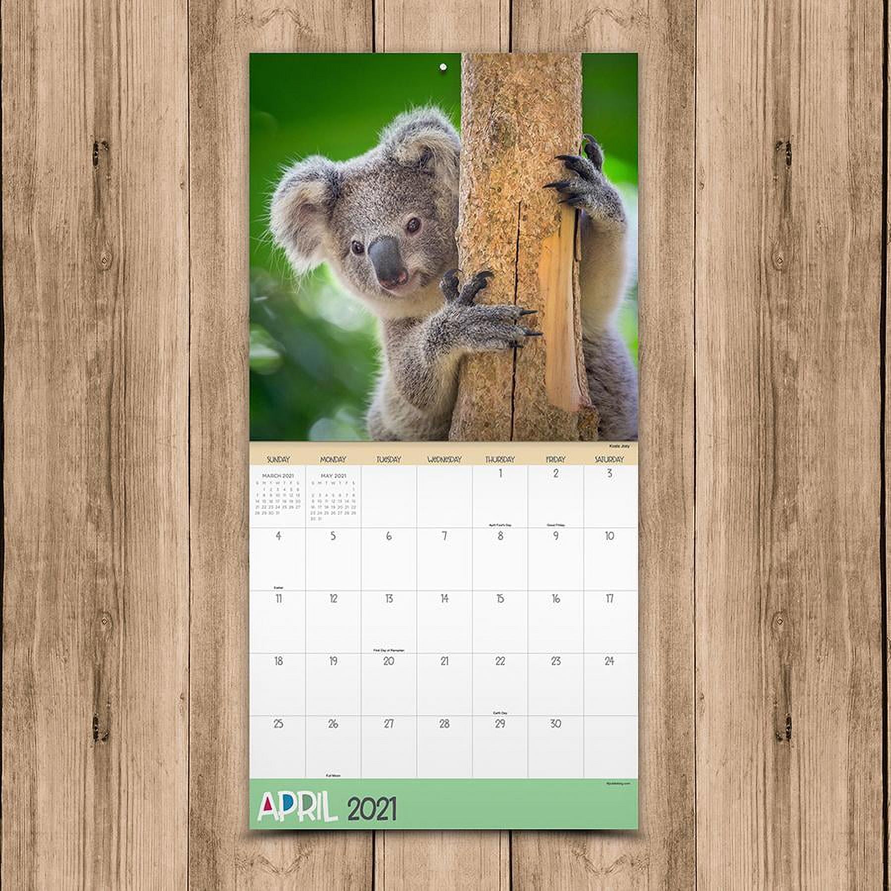 2021 Animal Babies-Incredibly Cute! 12"x12" Wall Calendar - Walmart.com