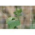 thumbnail image 3 of Tenax Hortonova 58019110 White Polypropylene Plant Trellis Net 59 in. X 328 ft., 3 of 4