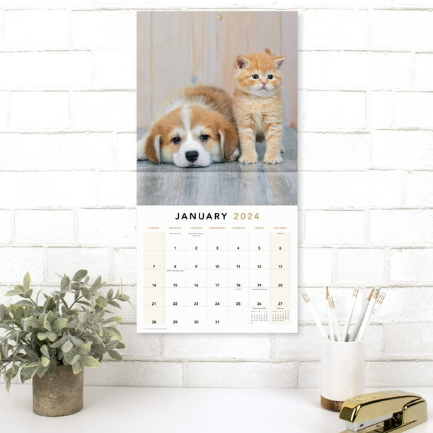 Mead Our Oceans 2024 Monthly Wall Calendar, 12" X 12", Bilingual