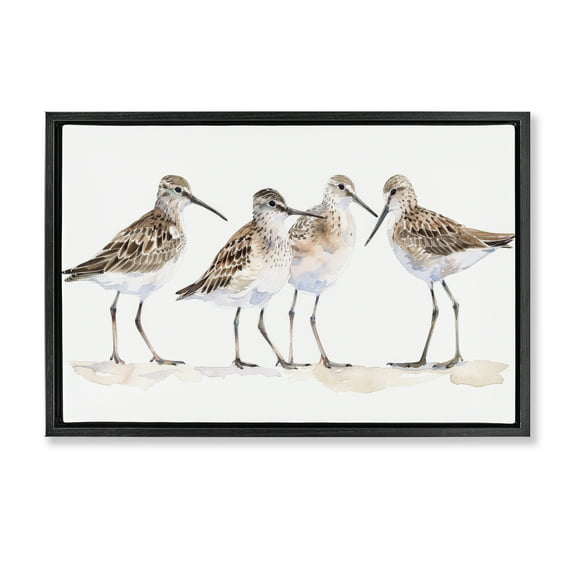 Stupell Industries Sand Pipers Gathered Animals Painting Black Floater Framed Canvas Art Print Wall Art, 25 x 17