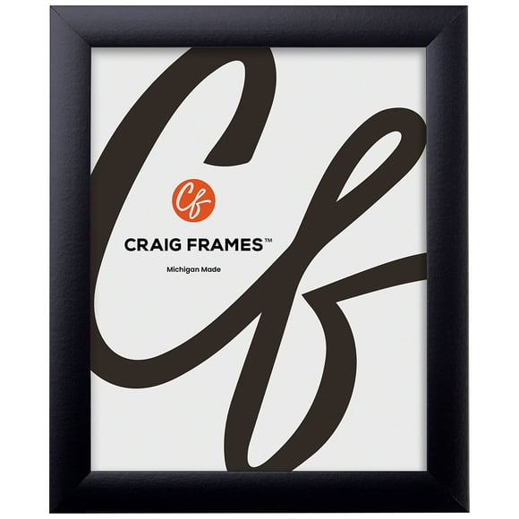 Craig Frames 16x20 Picture Frame | Contemporary 1"" Premium Matte Black (1WB3BK) | Durable High Clarity Plexiglass