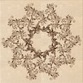 thumbnail image 1 of Ahgly Company Indoor Square Patterned Bronze Brown Area Rugs, 5' Square, 1 of 6