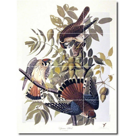 Ceramic Tile Mural-John Audubon Birds Painting 40. 12.75" w x 17" h using (12) 4.25 x 4.25 ceramic tiles