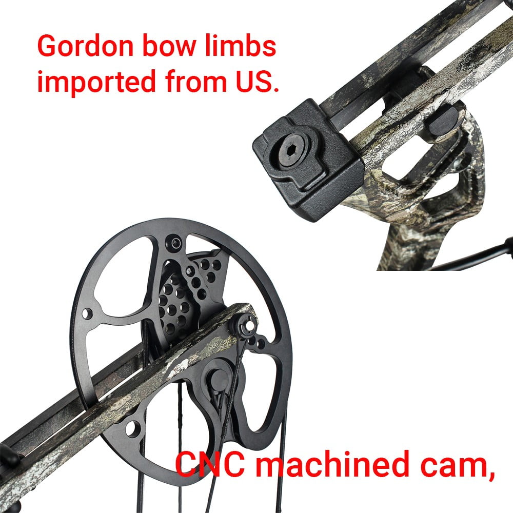 0-70lbs Compound Bow Set Carbon Arrows Bag 325fps Adult Hunting Archery Shooting