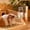 Green, variant on PONPRNGY Hamsters Water Bottle, Automatic No Drip Hanging Water Feeder Dispenser for Small Animals Guinea Pig Rat Dwarf