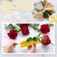 thumbnail image 3 of Rose Thorn Stripper Tool Thorn Remover for Roses Leaf Stripper Tool, 3 of 5