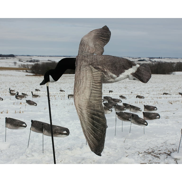 Canada goose flyer decoy reviews cheap