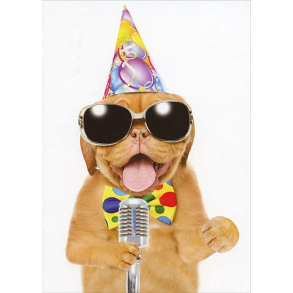 Designer Greetings Dog in Party Hat and Bow Tie at Microphone Funny / Humorous Birthday Card