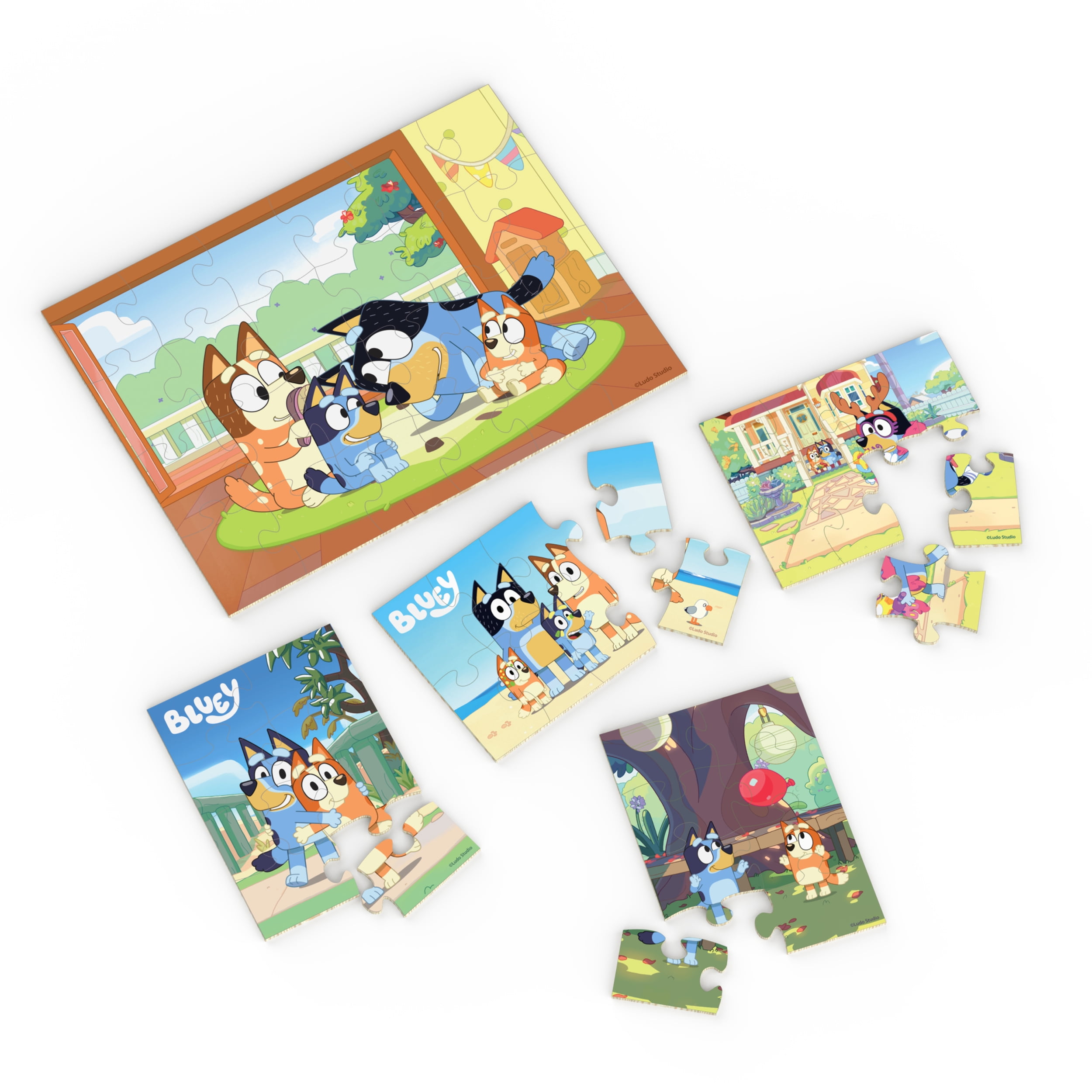 SPINMASTER WOOD PZL BLUEY