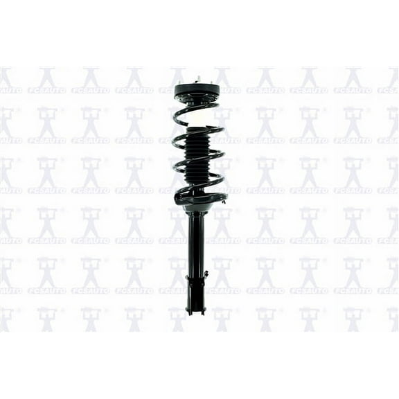 Suspension Strut and Coil Spring Assembly