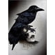 thumbnail image 1 of Impresiones de póster de cuervo negro para sala de estar, decoración del hogar, bruja gótica Victoriana, pintura de lienzo de gato negro, arte de pared, 1 of 4