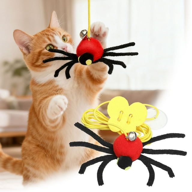 Oliegs Blanket For Cats On Door Elastic Rubber Band With Figure For Cats Interactive For | For Puppies And Cat Puppies