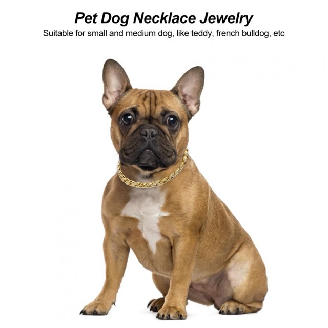 LHCER Dog Collar, Good Durability High Strength Pet Dog Necklace, With Polished Cats Animals Dogs For Pets