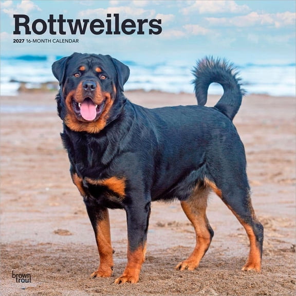 BrownTrout, Rottweilers 2027 Wall Calendar