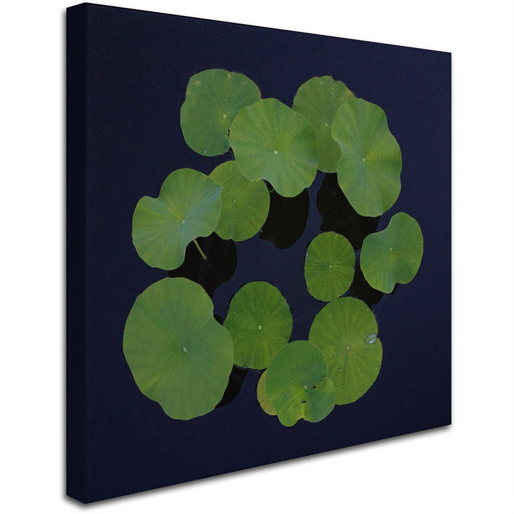 Trademark Fine Art "Giant Lily Pad Abstract" Canvas Art by Kurt Shaffer