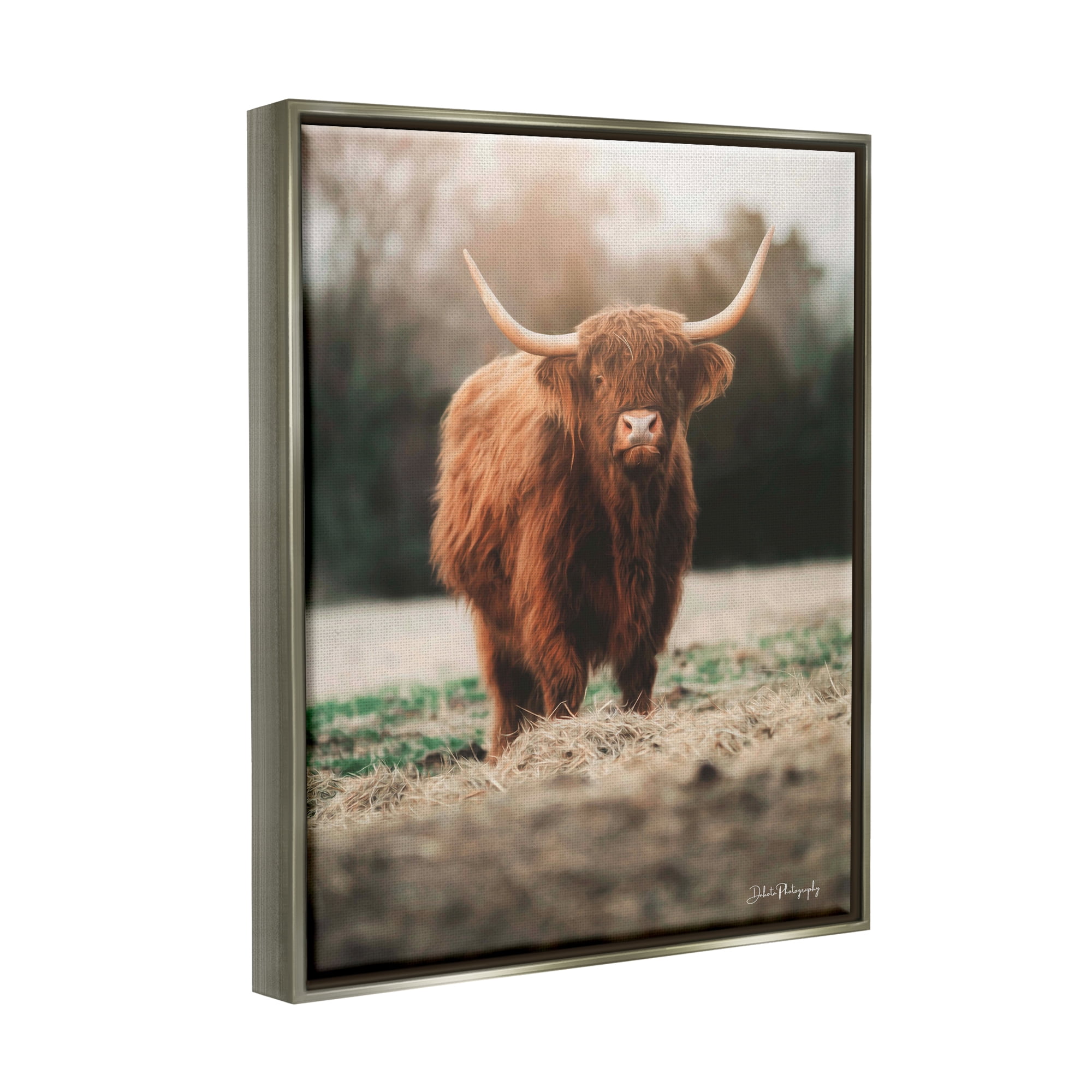 Stupell Rural Farm Pasture Cattle Animals & Insects Photography Gray Floater Framed Art Print Wall Art