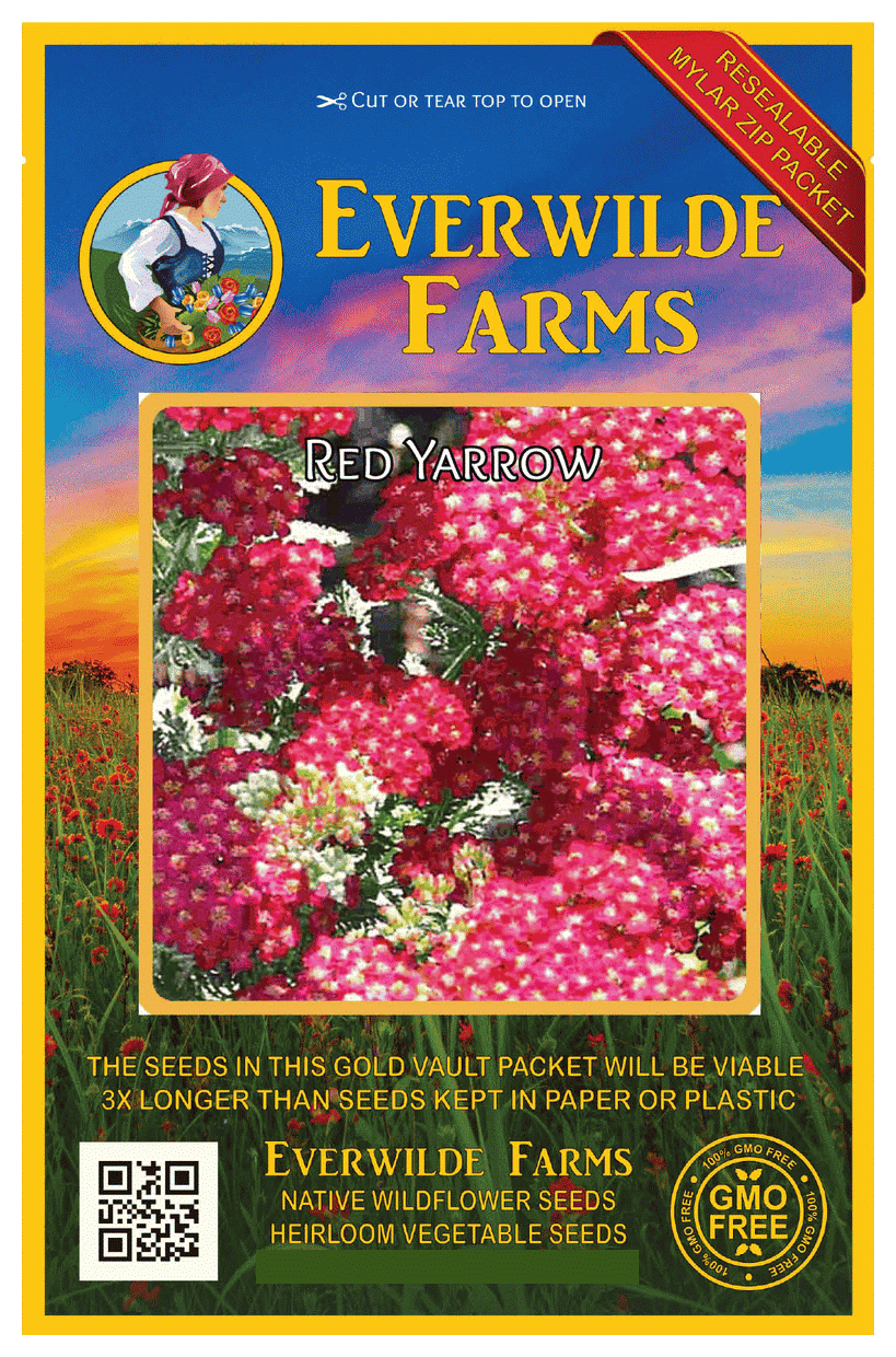 Everwilde Farms Mylar Seed Packet 2000 Gold Yarrow Wildflower Seeds