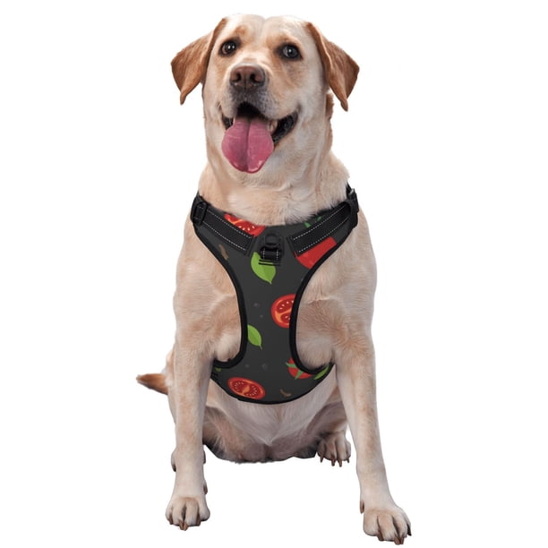 Balery Tomatoes1 Arnés para Perros Grandes Antitirones, Arnés con Correa para Gato, Arnés Tipo Chaleco para Perros Pequeños-Large