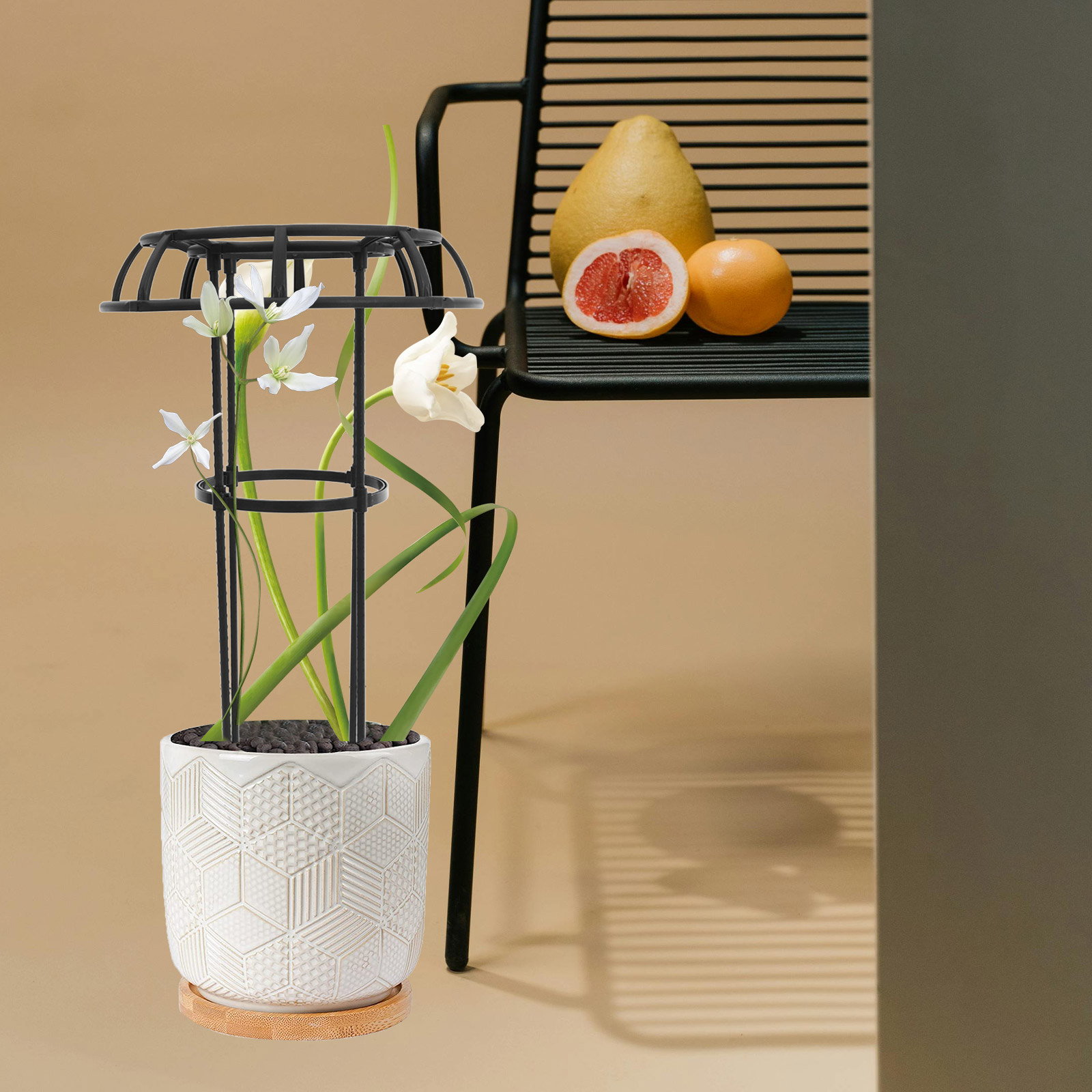 HOMEMAXS Plant Climbing Support Climbing Vine Trellis 75.00X50.00X50.00CM Black
