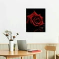 thumbnail image 3 of JRXY  Red Rose Canvas Wall Art Flower Blossoming on Black Background Picture Print Wall Painting Modern Artwork Wall Décor for Bedroom Living Room Bathroom Office 16x20 in, 3 of 5