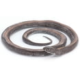 thumbnail image 1 of Lifelike Snake Model, Snake Model Long Service Life Durable  For Gift For Children Rewardsz, 1 of 8