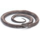 thumbnail image 2 of Estatuilla de Modelo de Serpiente Ccdes PVC, 2 of 8