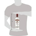 thumbnail image 6 of Smirnoff No. 21 80 Proof Vodka, 750 mL Glass Bottle, 40% ABV, 6 of 8