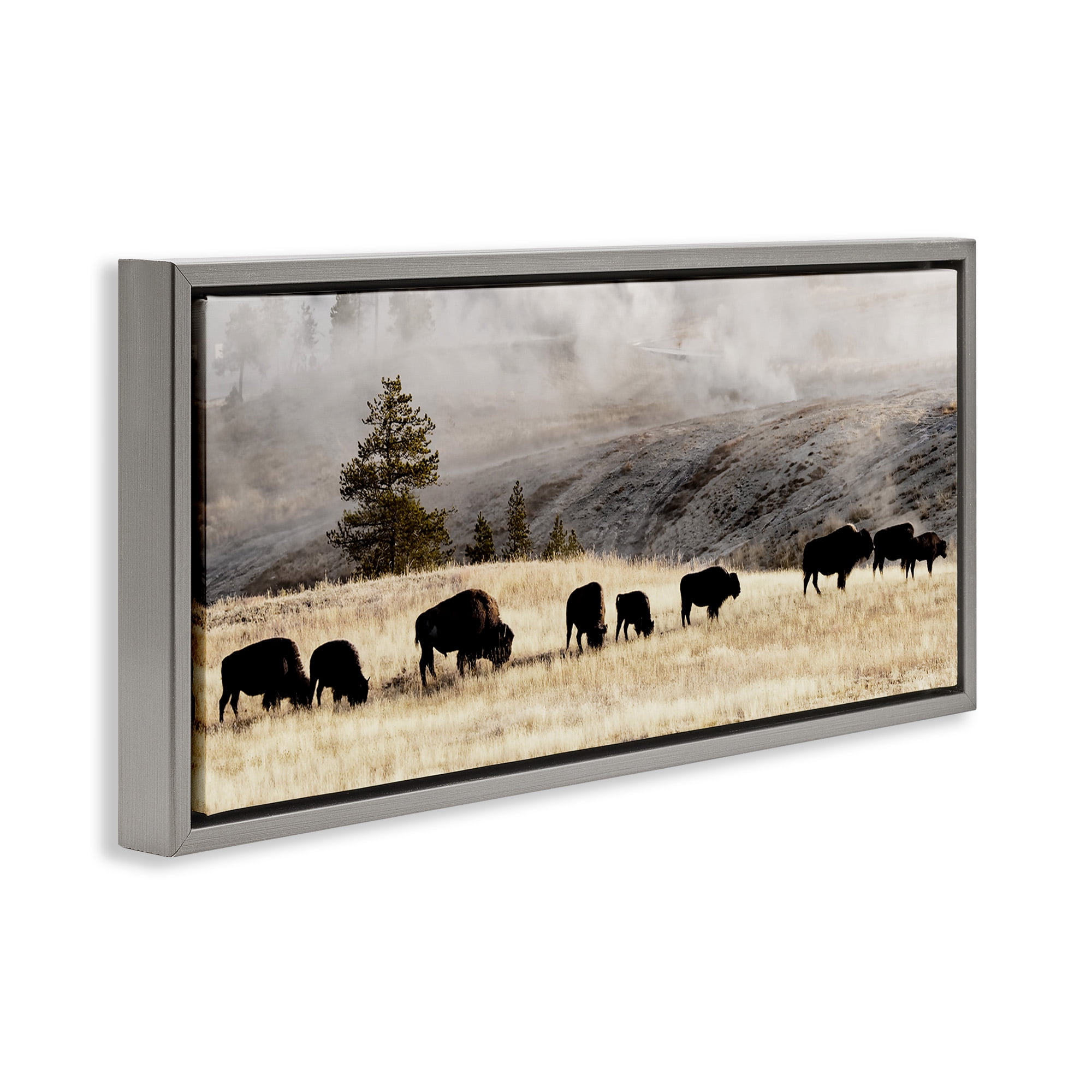 Stupell Industries Grazing Bison Foggy Countryside Animals & Insects Photography Gray Floater Framed Canvas Art Print Wall Art, 31 x 14