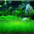 thumbnail image 2 of OptiCase Aquarium Grass Plant Seeds, Fresh Oxygenating Weed, 2 of 3