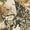 Camo, variant on Coleman Fleece Lined Bib
