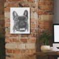thumbnail image 5 of Epic Graffiti 'French Bulldog 3' by Barbara Keith, Canvas Wall Art, 12"x16", 5 of 8