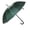 Winter Green, variant on Rain Sun UV Protection Umbrella Large Full Size 42 Inches Canopy Coverage Windproof Auto Open J- Shape Stick Black w Sliver