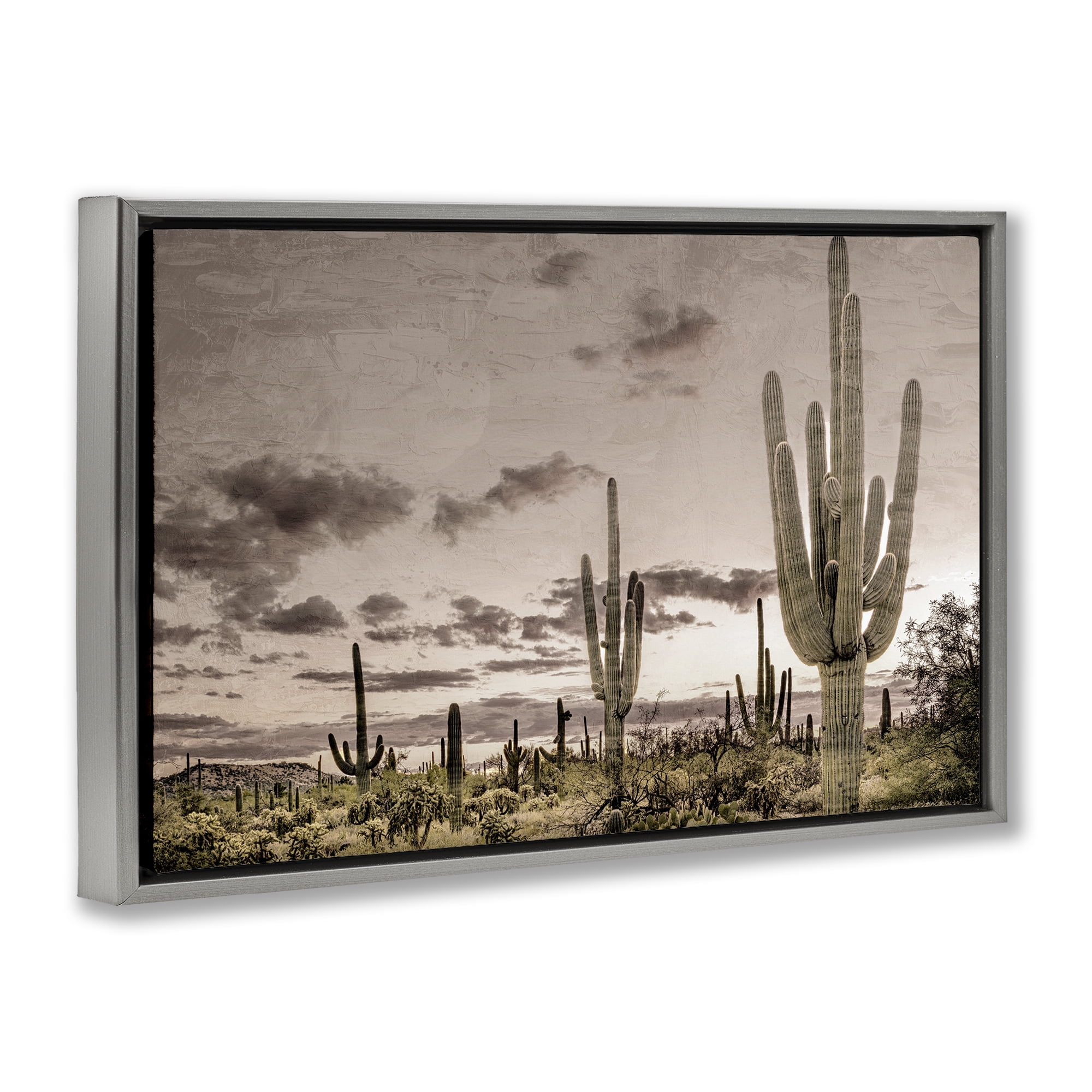 Stupell Industries Desert Sky Wilderness Gray Framed Floater Canvas Wall Art, design by Kim Allen