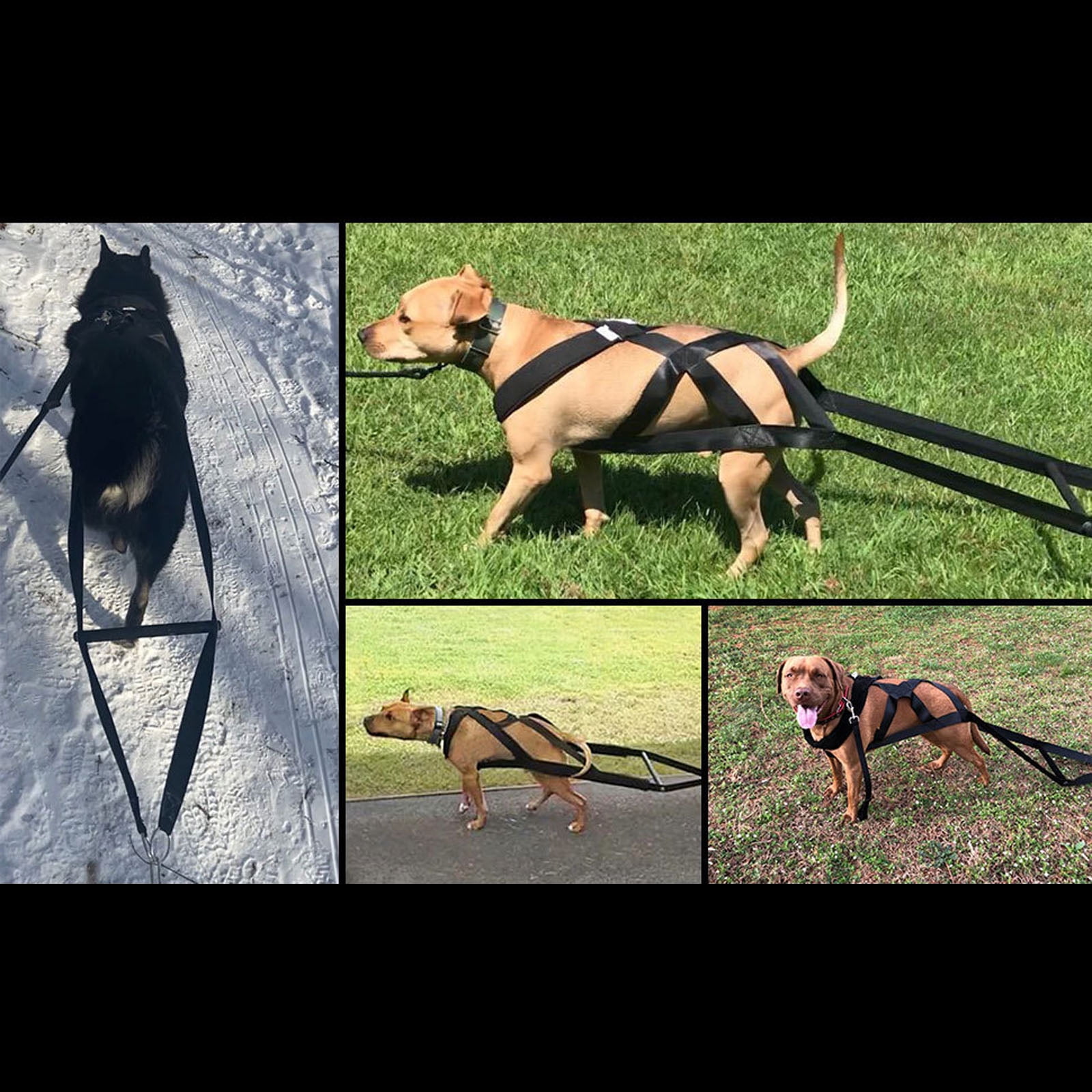 Dog Harness Comfortable Dog Vest Harness for Large Dogs Sled Training Weight Pulling Supplies