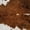 Brown Off White, variant on Manfei Farm Cow Spot Shower Curtain 72Wx72L,Minimalist Animal Pattern Bathroom Curtain,Black White