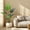 Black, variant on Eastvita 5FT Artificial Bird of Paradise Plant Potted Faux Banana Leaf Tree for Indoor House/Home Office