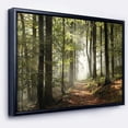thumbnail image 1 of Designart - Green Fall Forest with Sun Rays - Landscape Photography Framed Canvas Print, 1 of 4