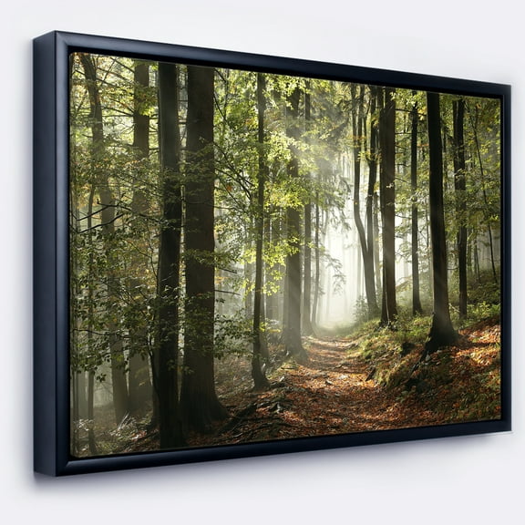 Designart ' Green Fall Forest with Sun Rays ' Landscape Photography Framed Canvas Print
