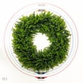 thumbnail image 3 of Haute Decor 24 Inch Premium Artificial Boxwood Wreath - Spring or Summer Wreath for Front Door - Boxwood Artificial Greenery with Natural Grapevine Base, 3 of 5