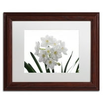 Trademark Fine Art "Paper White Bouquet" Canvas Art by Kurt Shaffer White Mat, Wood Frame