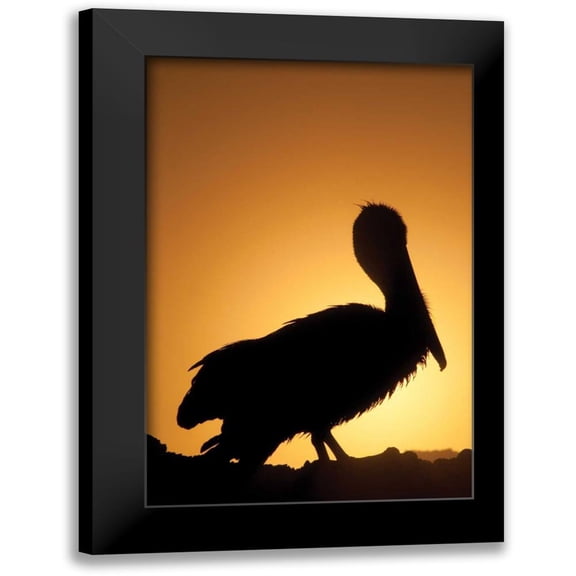 Berzel, Erin 11x14 Black Modern Framed Museum Art Print Titled - Pelican Silhouette II