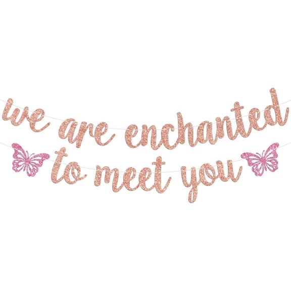 We’re Enchanted to Meet You Banner, Sweet Baby Shower Bunting Sign, Welcome Baby, Butterfly Theme Baby Shower Gender Reveal Party Decorations Supplies for Baby Girls