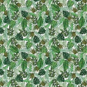 Tropical Palm