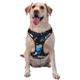 thumbnail image 1 of Balery Football Arnés para Perros Grandes Antitirones, Arnés con Correa para Gato, Arnés Tipo Chaleco para Perros Pequeños-Medium, 1 of 6