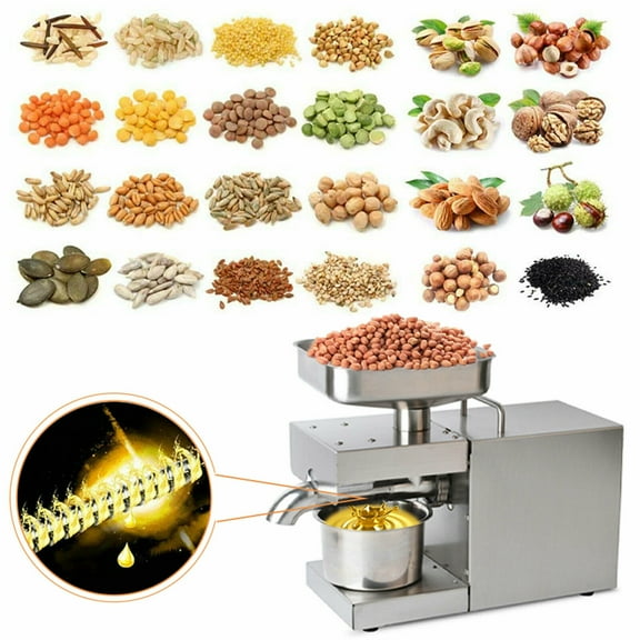 Commercial Automatic Oil Press Machine Oil Expell Electric Hot/ Cold Oil Machine
