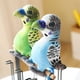thumbnail image 2 of Peluche de loro de 20 cm, nuevo y encantador, suave, simulación de guacamayo psitácido, lindos animales salvajes, pájaros, muñecos, juguete para niños, regalo, 2 of 6