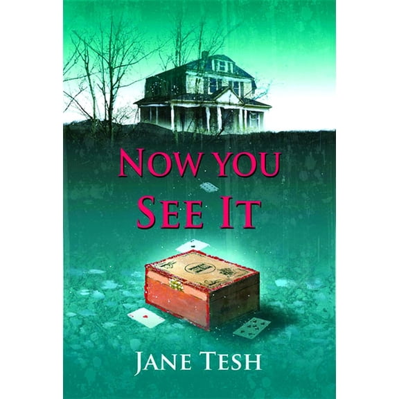 Grace Street Mysteries: Now You See It: A Grace Street Mystery (Paperback)