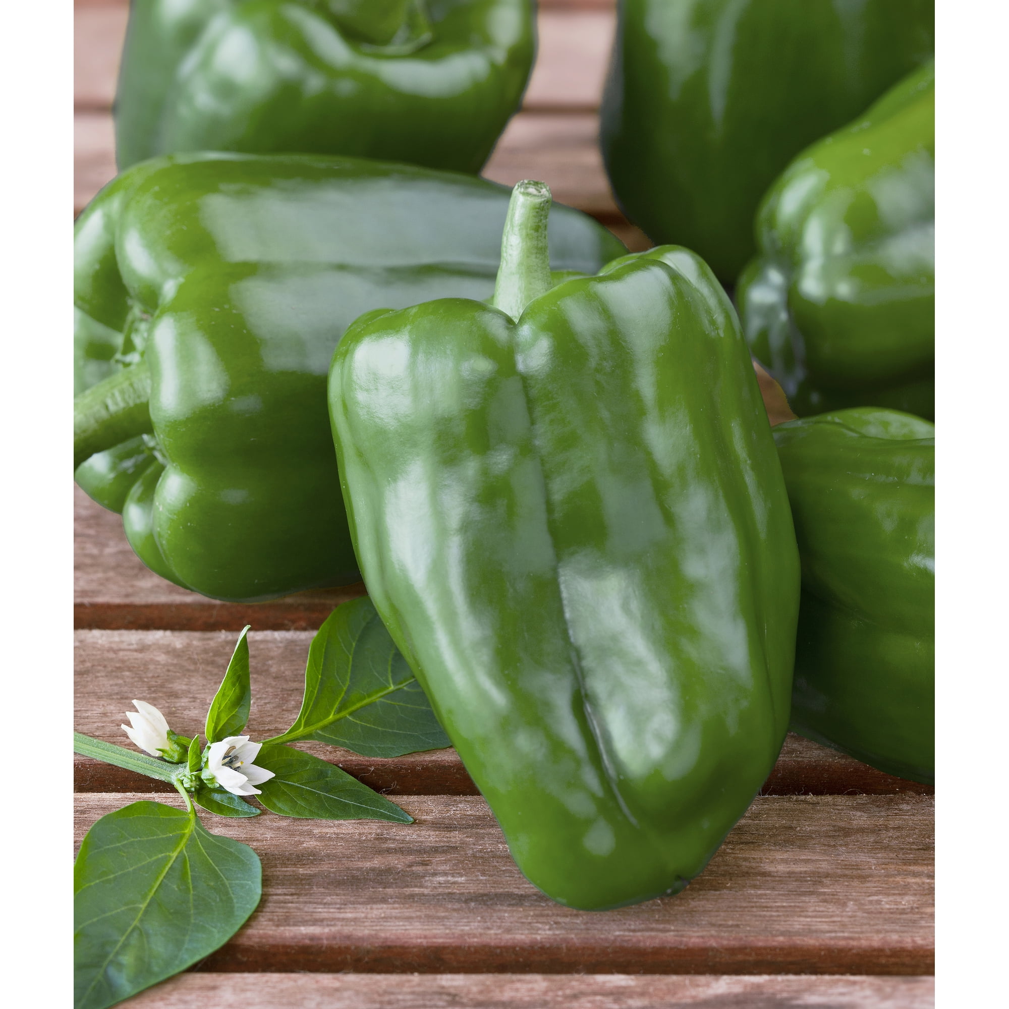 Bonnie Plants Green Sweet Bell Pepper 19.3 oz.